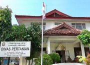 Kasi Alsintan Dinas KPTPH Lampung Akui Diperiksa Inspektorat Terkait 1057 Unit Alsintan Hibah