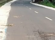 Baru Selesai, Jalan Gedong Dalam–Kota Gajah Rp 2 Miliar Sudah Rusak 