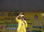 Dugaan Pembalakan Liar di Pesibar, Ismet Roni Desak Pemerintah dan Kapolda Bertindak Cepat