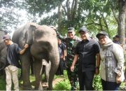 Ketua DPRD Lampung Dukung Way Kambas Jadi Model Nasional