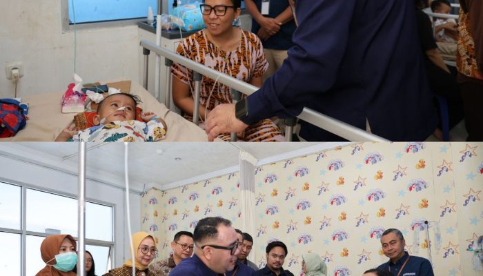 Direktur Jaminan Pelayanan Kesehatan BPJS Kesehatan Kunjungi RSUD Abdul Moeloek