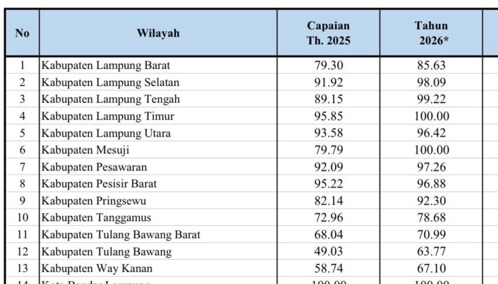 Dari Desa ke Kota, Jalan Provinsi di Kabupaten Dongkrak Konektivitas Lampung