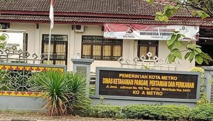 Belum Sempat Konfirmasi, Dugaan Mark’up Anggaran Rp1,6 M Untuk Honorium, Kadis DKP3 Kota Metro Ajukan Pensiun Dini 